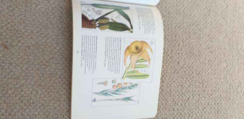 A SCARCE BOOK " A NEW HISTORY OF THE DURBAN BOTANIC GARDENS " AGAIN SIGNED !!!